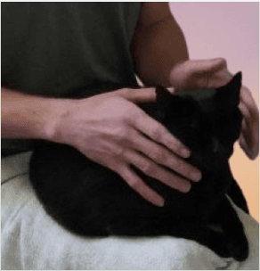 Original artwork depicting a cat